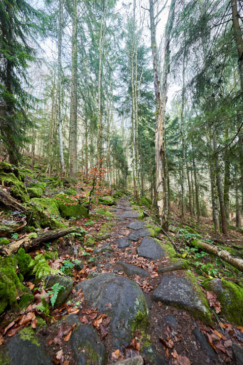 Gemeinde Sankt_Oswald-Riedlhütte Landkreis Freyung-Grafenau Großer Rachel Wanderweg (Dirschl Johann) Deutschland FRG